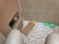 1606732265162.webp