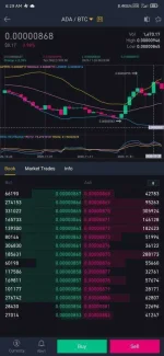 Screenshot_2020-12-01-06-29-36-893_com.binance.dev.webp