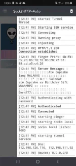 Screenshot_20201201-124105_SocksHTTP-Auto.jpg Screenshot_20201201-124105_SocksHTTP-Auto.jpg