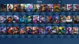 skins1.webp