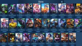 skins2.webp