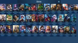 skins3.webp