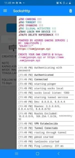 Screenshot_20201201-234930_SocksHttp.jpg