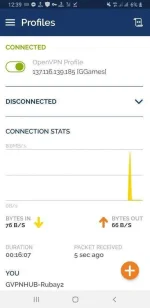 Screenshot_20201202-003946_OpenVPN Connect.webp
