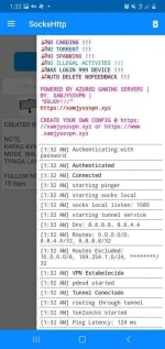 Screenshot_20201202-013236_SocksHttp.jpg