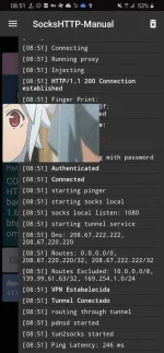 Screenshot_20201202-085157_SocksHTTP-Manual.webp