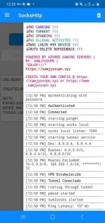 Screenshot_20201202-125833_SocksHttp.webp Screenshot_20201202-125833_SocksHttp.webp