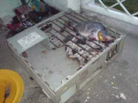 ihawan.webp