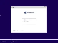 3.webp