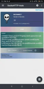 Screenshot_2020-12-04-19-11-08-190_com.slipkprojects.sockshttpone.webp