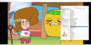 VLC.jpg