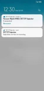 Screenshot_2020-12-05-00-30-05-550_com.evozi.injector.webp