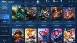 Screenshot_2020-12-05-16-22-28-805_com.mobile.legends.jpg