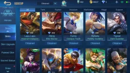 Screenshot_2020-12-05-16-22-49-753_com.mobile.legends.jpg