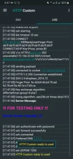 Screenshot_20201206-174710_HTTP Custom.webp