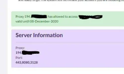 RP1Day.webp
