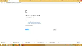 1607394542879.webp
