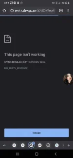 Screenshot_20201207-195720_Chrome.webp Screenshot_20201207-195720_Chrome.webp