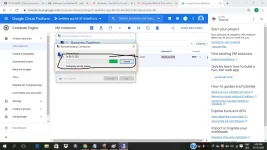 free15.webp