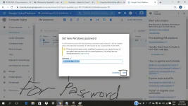 free19.webp