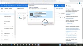 free21.webp