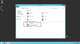 free23.webp