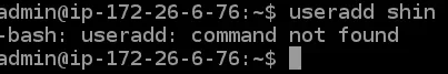 Capture.webp