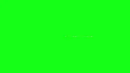 9.webp