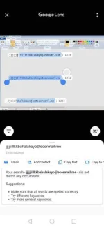 Screenshot_20201213_172252_com.google.android.googlequicksearchbox.webp