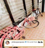 downloadfile.webp