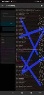 Screenshot_2020-12-17-08-46-31-745_com.slipkprojects.sockshttp.webp