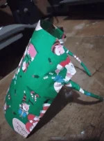 1608375974950.webp