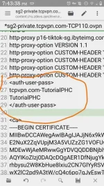 Screenshot_20201219-194340570.webp Screenshot_20201219-194340570.webp