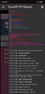 Screenshot_2020-12-19-22-08-03-034_com.slipkprojects.sockshttptwo.webp