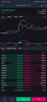 Screenshot_2020-12-20-13-29-01-157_com.binance.dev.webp
