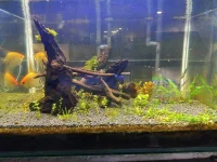 IMG_20201115_162842.webp