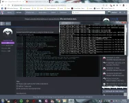 1608706808730.webp