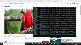 1608775039254.webp