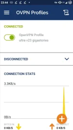 Screenshot_20201224-234426_OpenVPN_Connect.webp