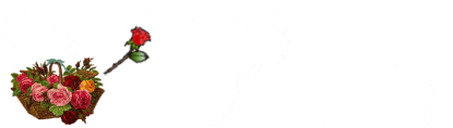 3.gif 3.gif