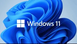 window.webp window.webp