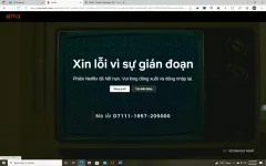 1640788251217.webp