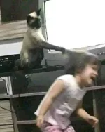 1640829450870.webp