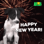 200.gif