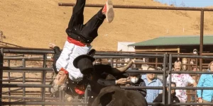 1641029115292.webp