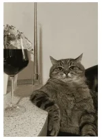 cat no response.webp cat no response.webp