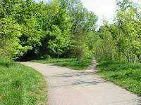 TwoRoads.webp