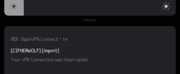 Screenshot_2022-01-04-21-52-49-343_net.openvpn.openvpn.webp