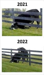 2021-2022 (2).jpg