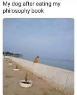 1619917767123.webp 1619917767123.webp